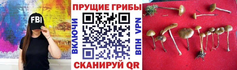 Галлюциногенные грибы GOLDEN TEACHER  shop Telegram  Кудымкар 